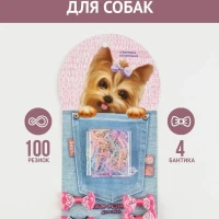 Набор резинок для собак