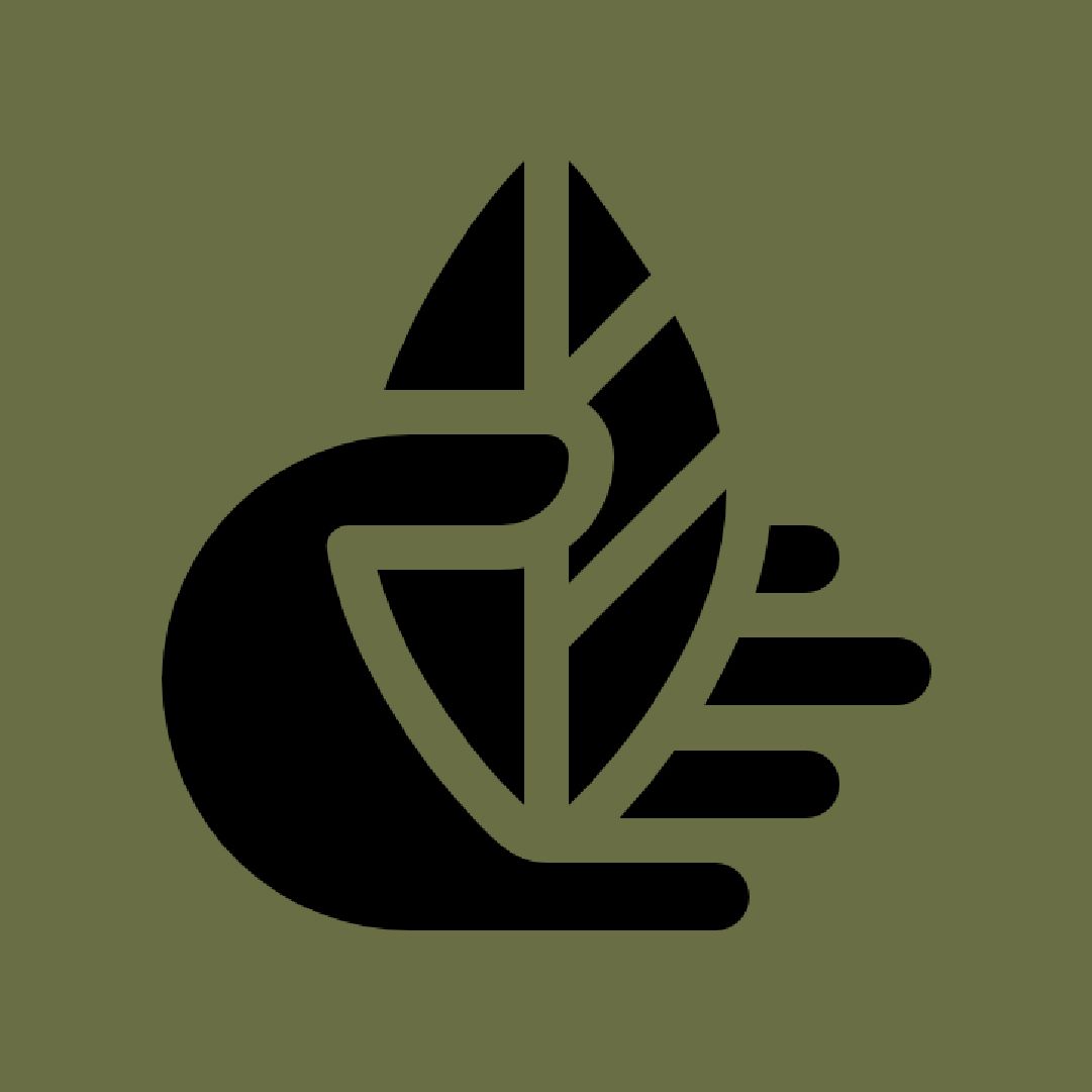 Текст при отключенной в браузере загрузке изображений