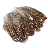 Перо фазана