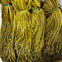 Папоротник Орляк дальневосточный соленый