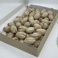 Пекан премиум орех в скорлупе урожай 2023, 650 грамм