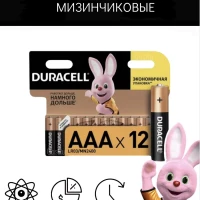 Мизинчиковые DURACELL /12 шт.