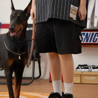 Battles 夏季同色火焰刺繡短褲輕薄尼龍機能休閒五分褲寬鬆