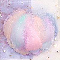 Натуральные гусиные перья 4-8 см, 100 шт