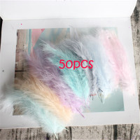 Натуральные перья индейки, 4-6, Inches10-15cm, 50 шт