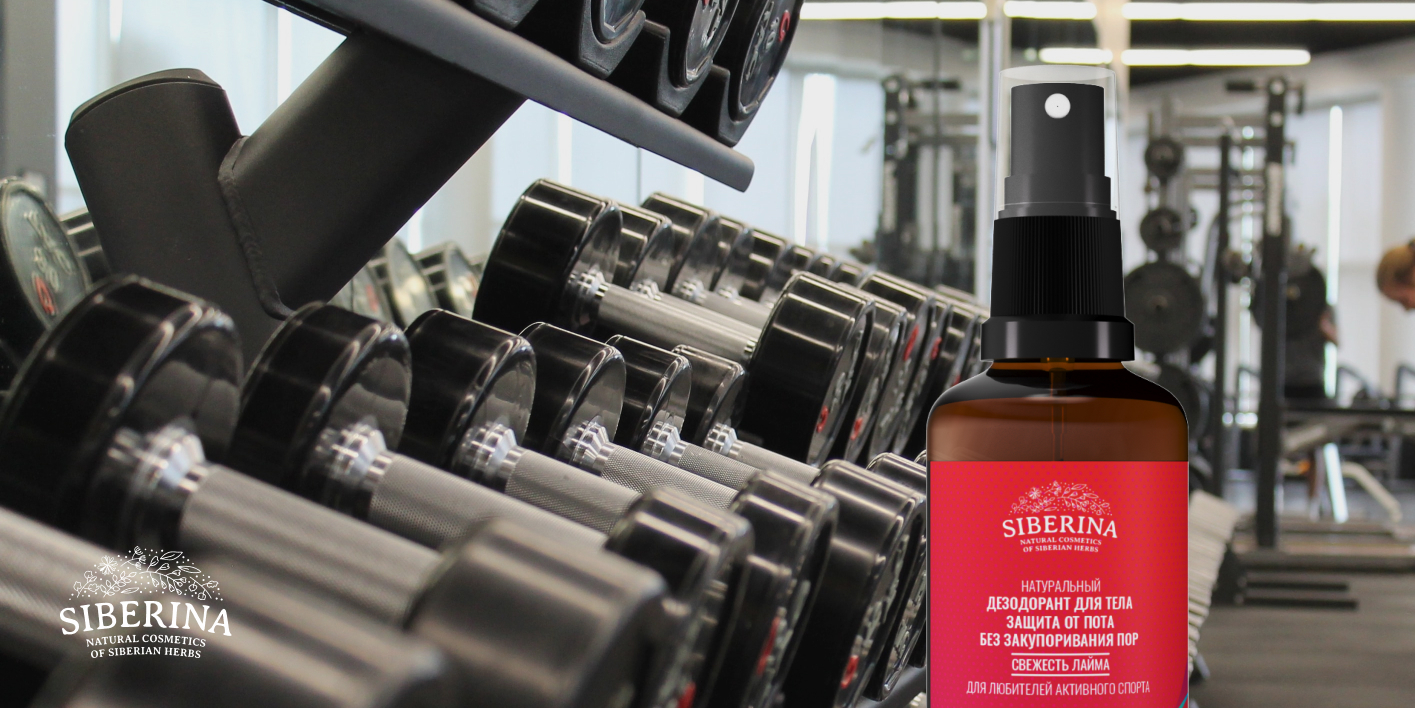 Текстовое описание изображения