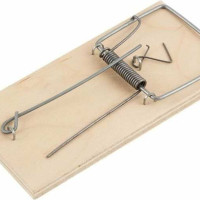 
    Мышеловка деревянная увеличенная 12,5*6 см-1 шт
  