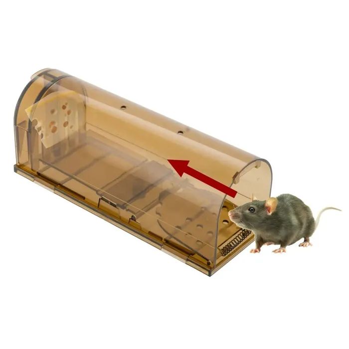 пластиковая мышеловка