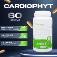 Витамины для сердца и сосудов, 60 капсул - CardioPhyt Santegra, Кардиофит Сантегра