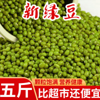 新鮮綠豆5斤 農家自產小綠豆 笨綠豆發豆芽煮湯粥散裝雜糧