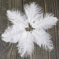 Пушистые перья страуса, 15-20 см/6-8 дюймов, 10 шт./партия