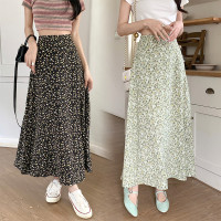 模特实拍夏季新款高腰长款碎花大摆半身裙显瘦显高的A字长裙女装