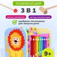 Развивающая игрушка сортер