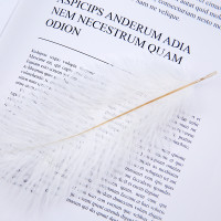 Натуральные перья страуса Подставки для фотографий ювелирные изделия фон Fotografia студийная съемка для кольца, серьги, браслет, браслет, ожерелье