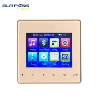 Внутренняя фоновая музыкальная система для дома, гостиницы, интерьера, Bluetooth, настенный усилитель с сенсорной кнопкой