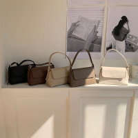 小众设计时尚手提单肩包包女2024新款韩版潮流百搭休闲斜挎小方包