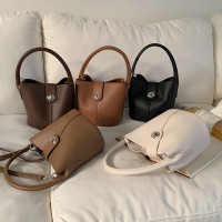 小众时尚手提水桶包包女2023新款韩版休闲百搭通勤子母单肩斜挎包