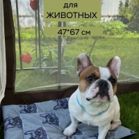 Лежанка для собак и кошек