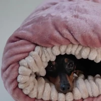 Лежак-Норка для собак и кошек 50х40 см