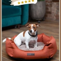 Лежанка для кошек собак мягкая круглая