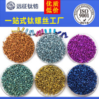 十只装 彩色盘头钛螺丝7380 M3小纯钛机钉 圆杯头钛螺钉 多色现货