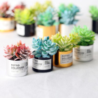 Dollhouse娃娃屋金属绿植盆栽 迷你微缩模型 OB11植物GSC手工材料