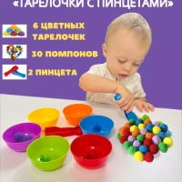 Сортер по цветам с тарелочками,пинцетами и помпонами,счет