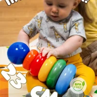 Пирамидка Для малышей Развивающая игра с кольцами и шаром