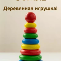 Развивающая Пирамидка 9 дет.