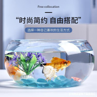 水族箱生态圆形玻璃金鱼缸 大号乌龟缸 迷你小型造景水培花瓶