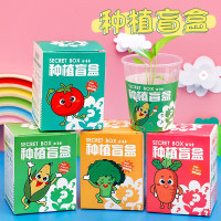 幼儿园种植盲盒小盆栽儿童植物观察迷你植物小礼品小绿植桌面摆件