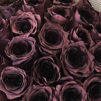 鲜花专用喷漆花艺玫瑰银色珠光碎冰蓝喷漆自喷漆彩喷染色剂鲜花漆