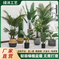 大型仿真绿植盆栽散尾葵室内造景装饰摆件假植物天堂鸟盆景仿真树