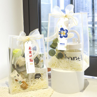 母亲节礼物透明高级感塑料礼品袋手提包装袋伴手礼手提袋礼袋批发