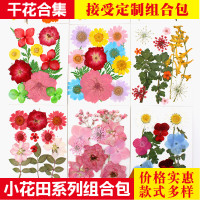 干花批发 押花diy材料包 小花田组合包  植物标本框树叶贴画压花