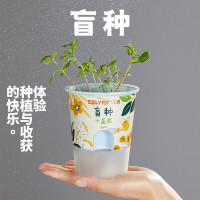 六一儿童节礼物绿植盲种盆栽小花农果蔬种植幼儿园儿童diy种子礼