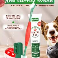 Зубная паста и щетка натуральная