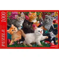 Пазлы 1000 элементов.Котята в саду.