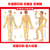 人体经络穴位图施灸取穴参考图矢量印刷双面穴位图体穴参照表批发