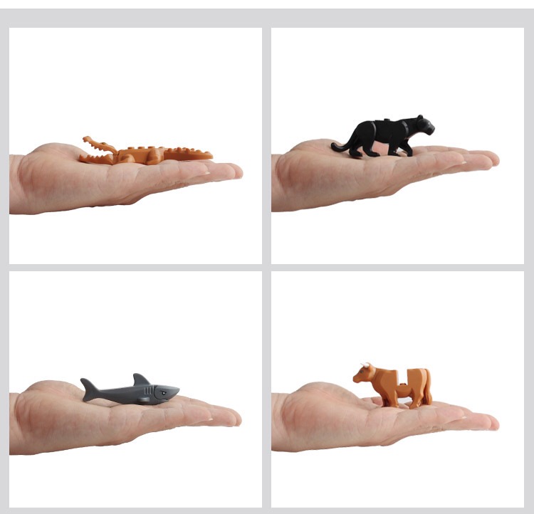 IMG_6790(20200713-133423)