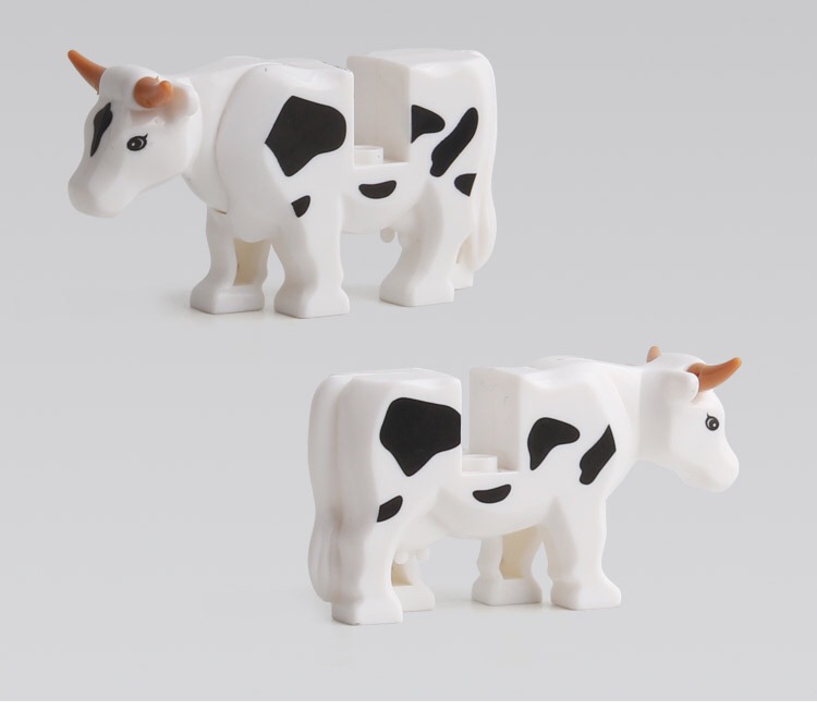 IMG_6787(20200713-133409)