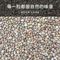 麻子鸟粮玄风火麻仁虎皮火麻籽鸽粮麻仁籽牡丹鸟食小颗粒和尚鹦鹉