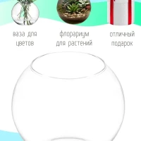 Круглый шар, мини флорариум, стеклянная ваза для декора