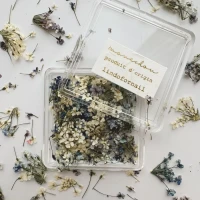 Сухоцветы для дизайна ногтей маникюра, аксессуар для декора