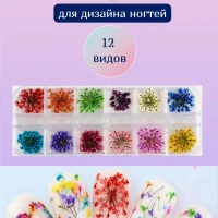 Сухоцветы для маникюра