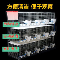 鸽子笼子养殖笼大号鸽笼繁殖配对笼鸽子专用组装笼肉鸽种鸽笼超大