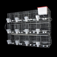 鸽子笼养殖专用特大号12位16位肉鸽繁殖笼信鸽配对笼家用鸽笼鸽棚