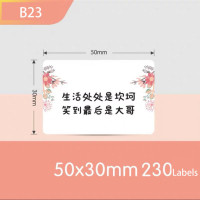 Оригинальный цветной стикер Niimbot B21/B3S/B1/B203