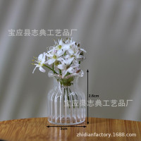 玻璃手工艺品diy微缩世界模型 干花花瓶玻璃花瓶摆件娃屋插花摆件