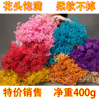 满天星 花束工厂批发永生花满天星干花花束 diy材料批发400g/120g